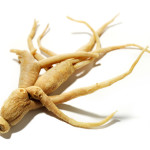 ginseng root